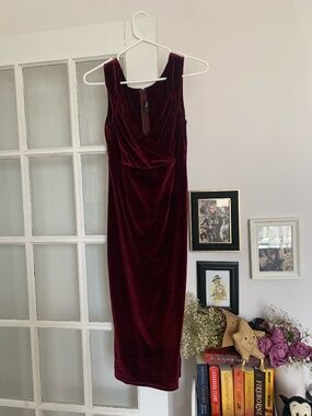 Burgundy/Red Velvet Fitted Dress